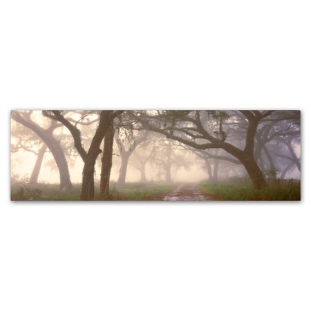 Trademark Fine Art Doug Cavanah 'Dawns Early Light' Canvas Art, 16x47 ALI16681-C1647GG